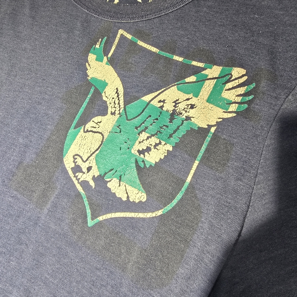 American Eagle Outfitters Blue Tee with Green and White Bird Emblem